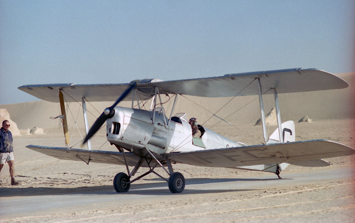 Tiger Moth in the desert